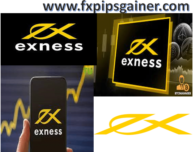 Ultimate Guide to Exness MT5 Download 14