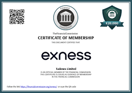 Ultimate Guide to Exness MT5 Download 14